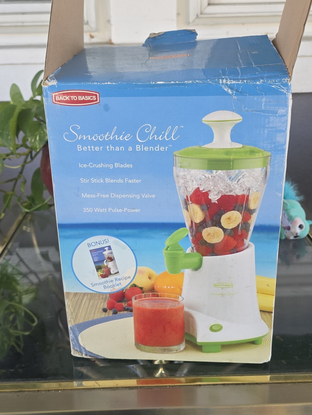 Smoothie Chill" smoothie beater from Back to Basics